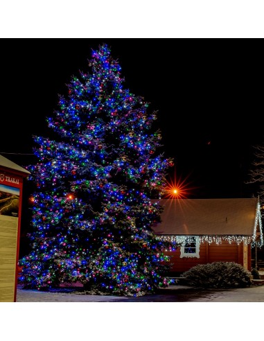 Profesionali AdamLights smulkių lempučių lauko girlianda | IP67, 360 LED, 60 m.